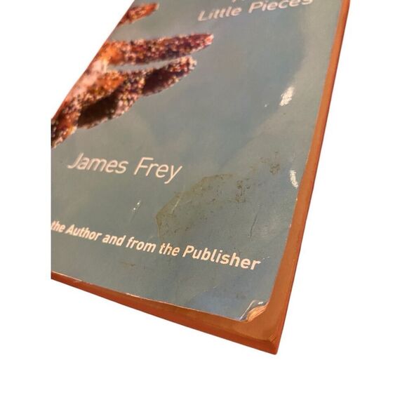 A Million a Little Pieces by James Frey Paperback Book 2003 - Picture 5 of 13